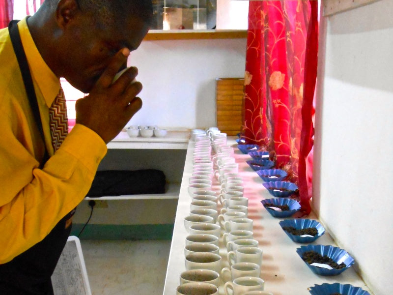 咖啡處理與咖啡風味一覽 (內附風味分佈圖表)