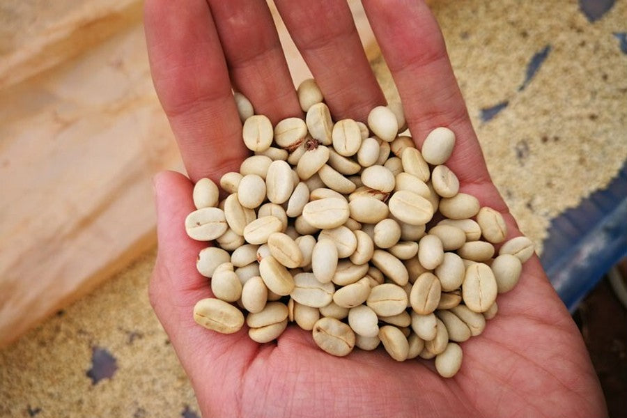 跟著喝就對 - 世界咖啡豆產地風味指南 | 內附風味一覽表【常見產地篇】