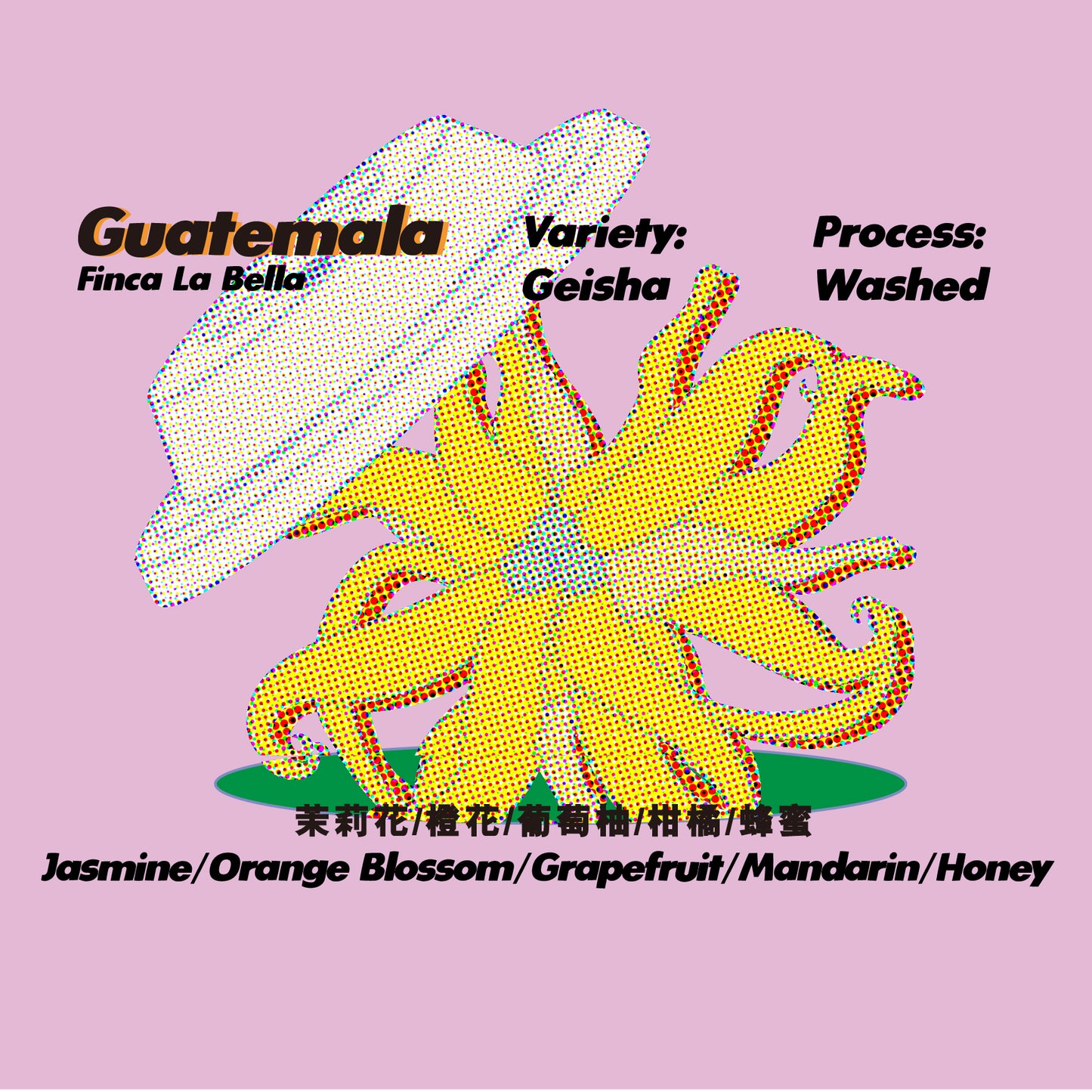 Guatemala - Washed - Finca La Bella (預購!PMQ coffee agenda pickup 限定)