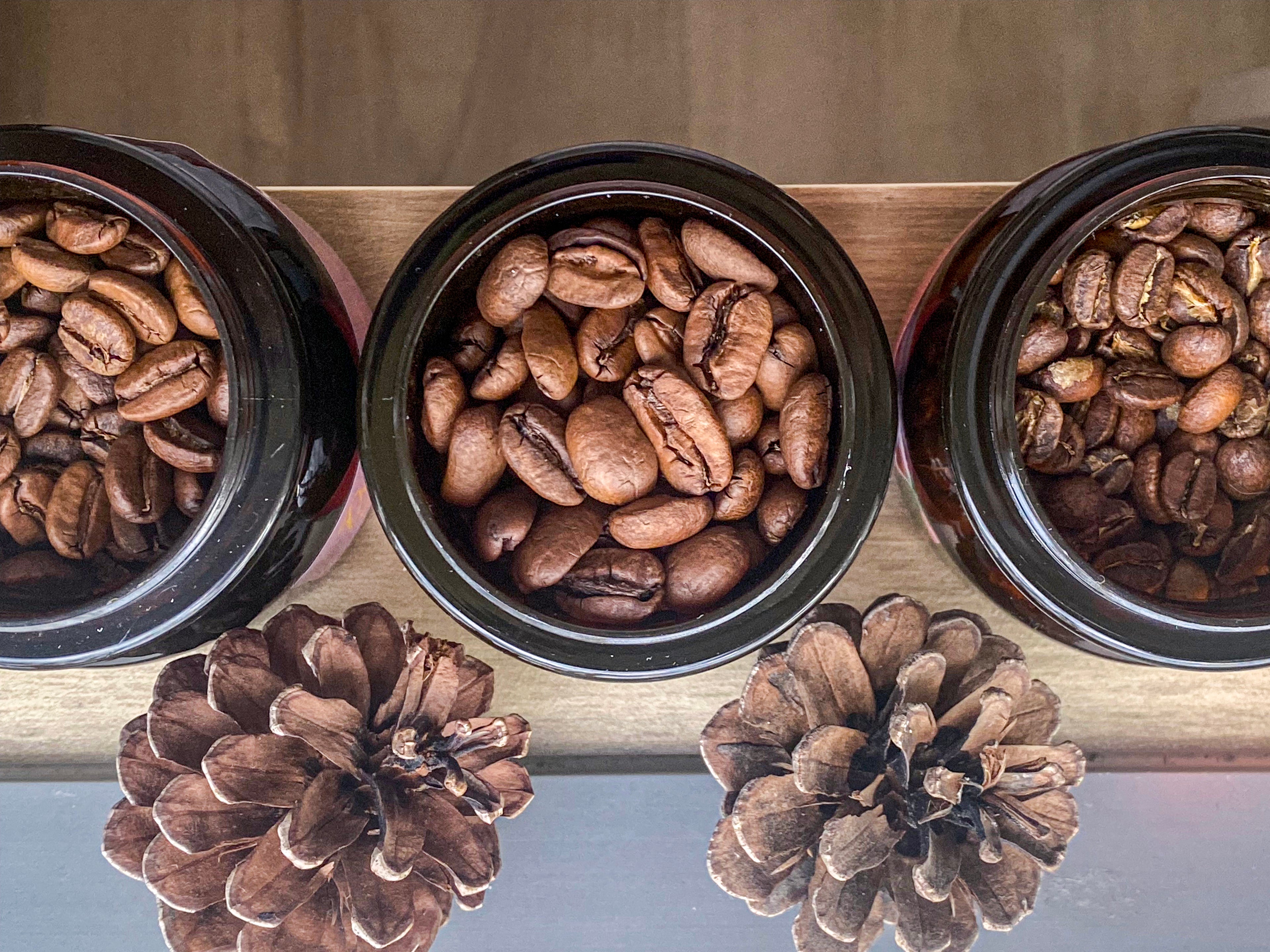 小編精選60g咖啡豆