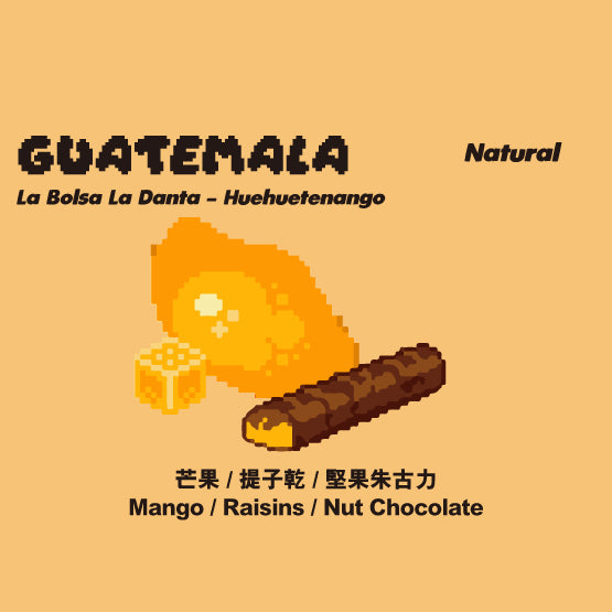 Guatemala - Natural - La Bolsa La Danta - Huehuetenango