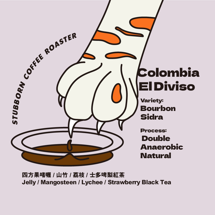 Colombia - Double Anaerobic Natural - El Diviso