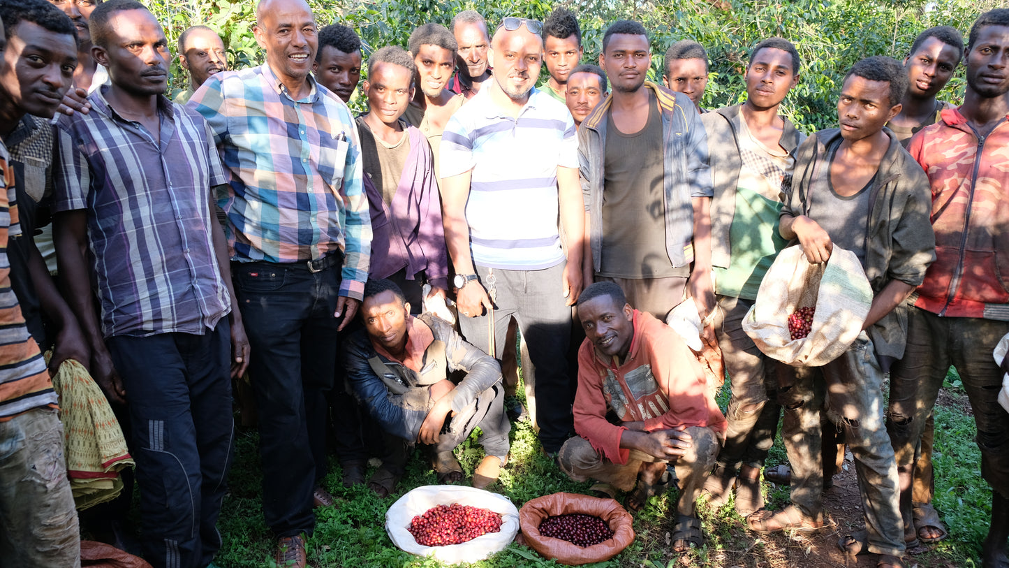 Decaffeinated 低咖啡因 - Ethiopia - No.5