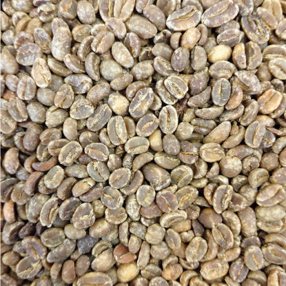 【咖啡生豆】Ethiopia Decaf 低咖啡因 【有機JAS認証】