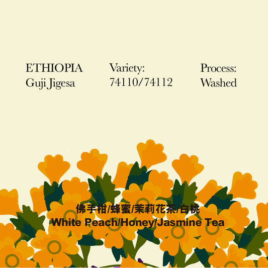 Ethiopia - Washed -  Guji Jigesa G1