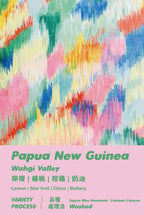 【DripBag｜掛耳包】 Papua New Guinea - Washed - Wahgi Valley