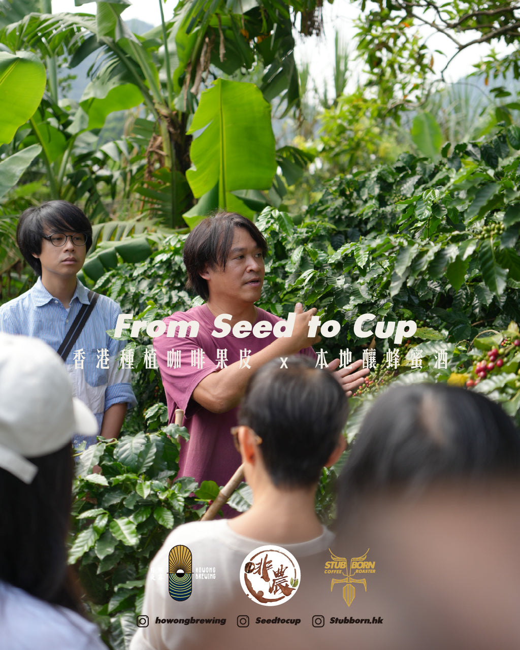 【聖誕限定】香港種咖啡果皮聖誕蜂蜜酒 HK Cascara Mulled  Wine Christmas Mead