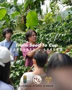 【聖誕限定】香港種咖啡果皮聖誕蜂蜜酒 HK Cascara Mulled  Wine Christmas Mead