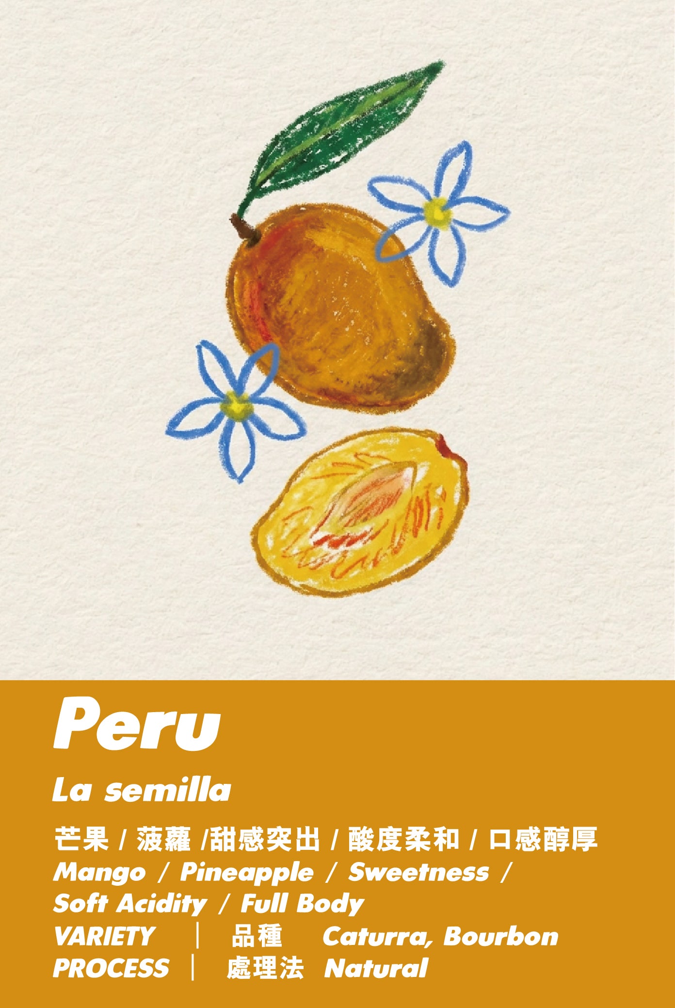 Peru -  Natural  - La semilla