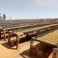【罕有產地系列-VOL.2】Zambia - Washed - Kasama District NCCL Farm